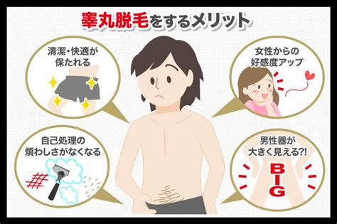 チンコ脱毛|男性器の玉の部分の脱毛って危険！？ 睾丸脱毛の無知を探る